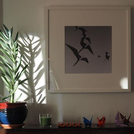 Appartement Cicada 'S Song à Athènes Extérieur photo