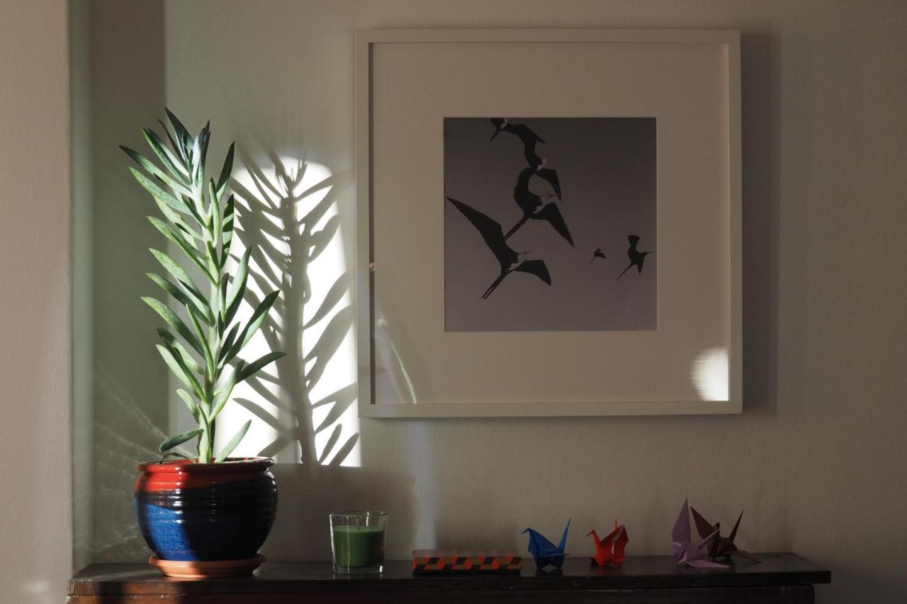 Appartement Cicada 'S Song à Athènes Extérieur photo